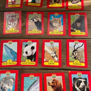 Burger King Kid’s Club animal cards