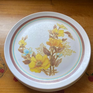 Vintage melamine dinner plates