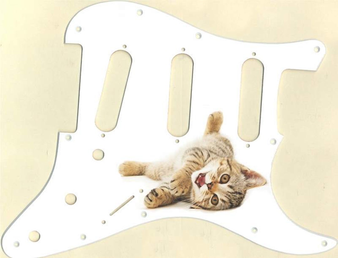 Custom Graphical Pickguard to Fit Fender Strat Stratocaster Kitten - Etsy