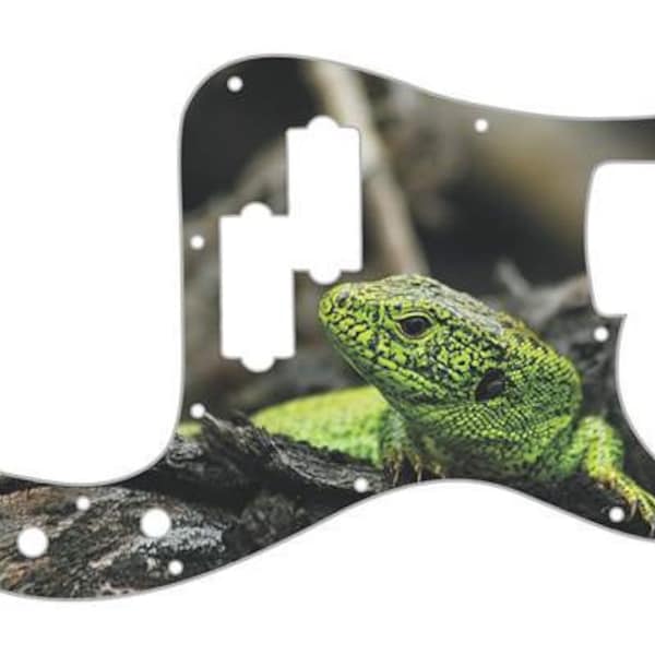 Fender Lizard Etsy