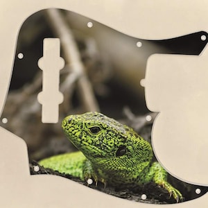 Custom Graphical Pickguard to fit Fender J Bass Jazz Bass Green Lizard