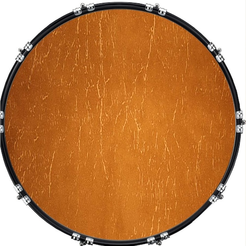 Custom Aquarian Bass Kick Drum Head Front Drumskin Medusa Etsy