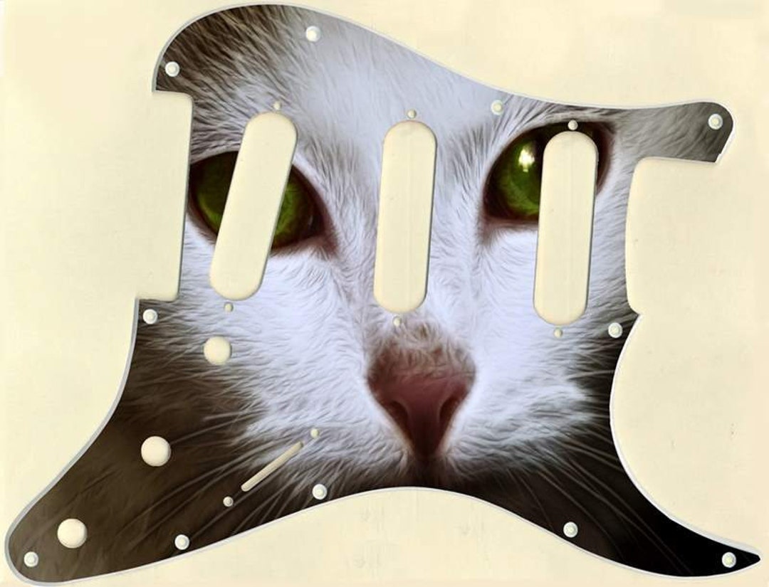 Custom Graphical Pickguard to Fit Fender Strat Stratocaster Cat 1 - Etsy