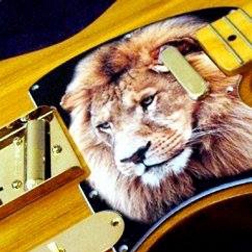 Battipenna Per Chitarra Fender Telecaster 8 Fori, ELITE Arte Africana, Multicolore, Greasy Groove