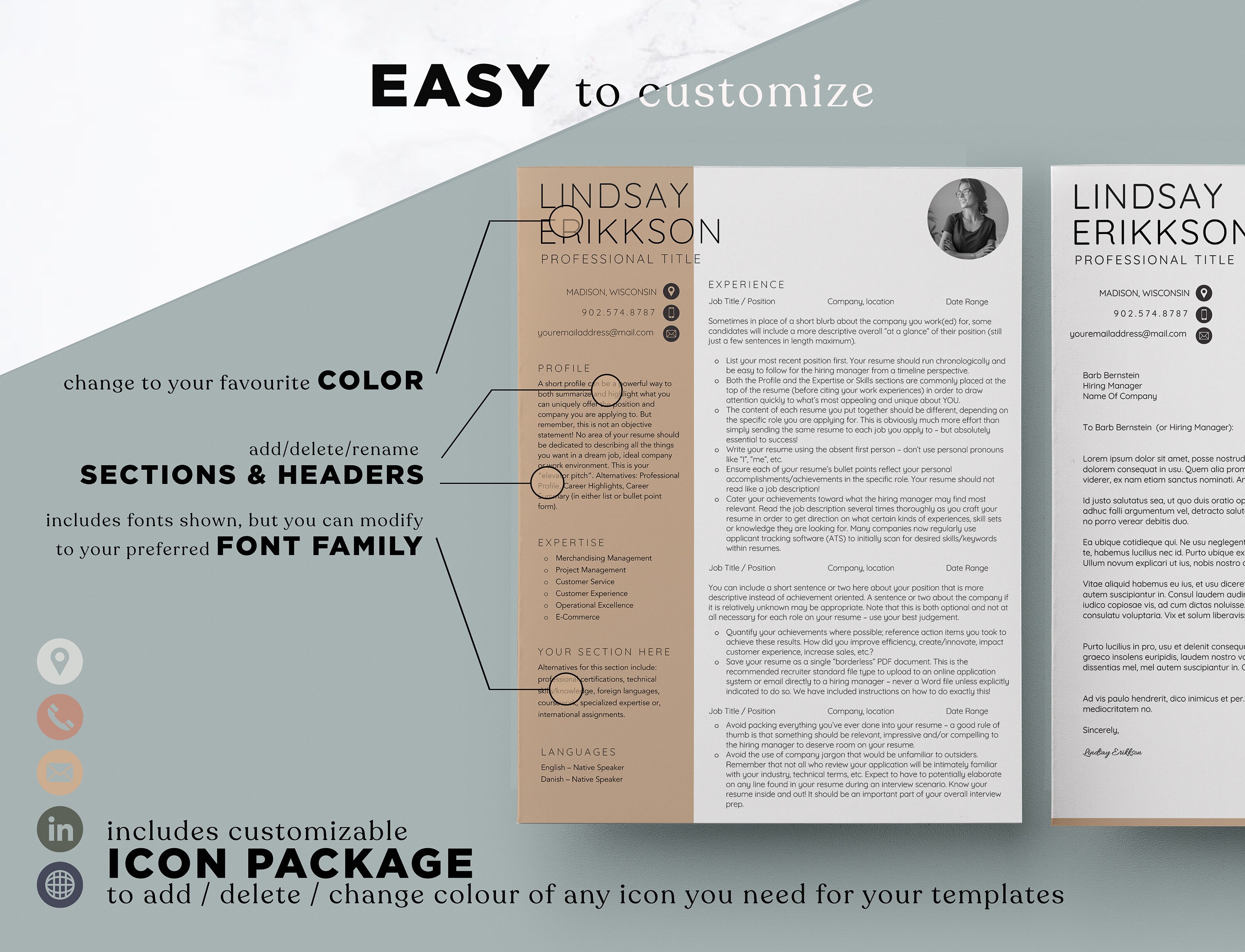 Simple CV Template Word, CV Design, CV Professional Executive Resume