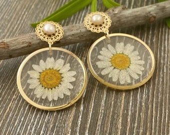 Real white daisy earrings dangle, resin earrings with flowers, resin hoop earrings, boho chic terrarium earrings, pressed flower earrings