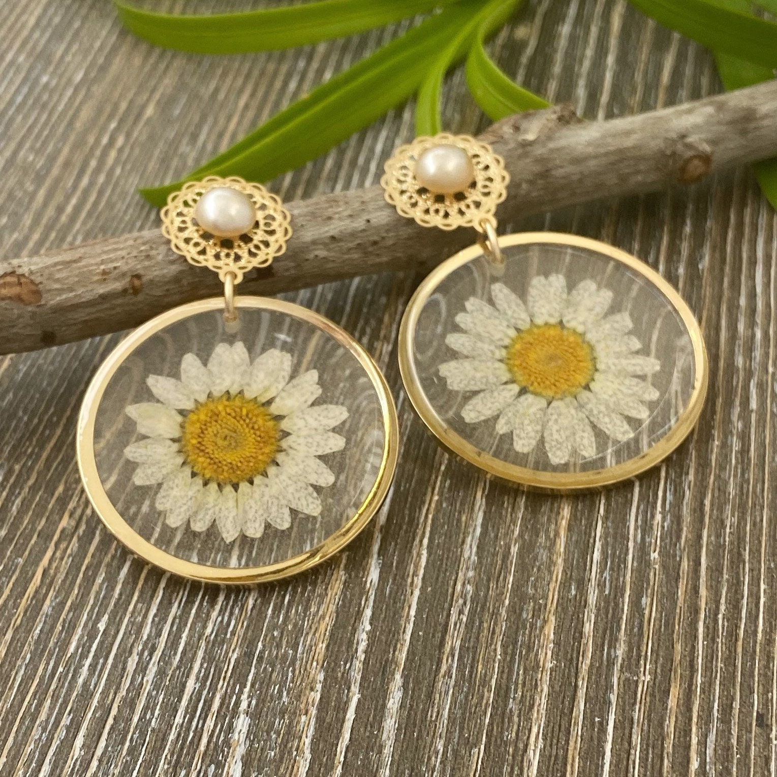 Real White Daisy Earrings Dangle Resin Earrings With Flowers Etsy