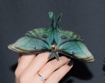 May include: Two green and blue luna moth wings with a black background. The wings are held by a person's hand and shoulder.
