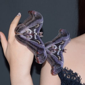 Dark Lunar Emperor Moth extra large hair clips or brooch lapel pins with 3d wings - 1 pcs