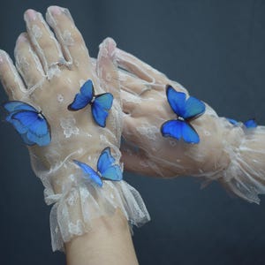 May include: A pair of sheer white lace gloves featuring a delicate floral pattern and ruffled cuffs. Each glove is adorned with multiple vibrant blue butterfly embellishments attached to the fabric, creating a textured and layered appearance.