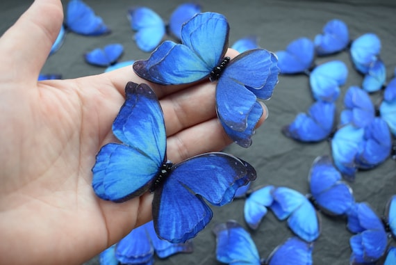 Silk Cobalt Blue Butterflies Set Moving Wings Dress Decoration Applique or  Wedding Bouquet Decor 