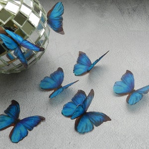 May include: Six blue butterfly decorations with a mirrored disco ball in the background.