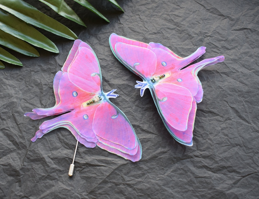 胡蝶　LUNA SEA Amazon.com: Lenox Butterfly Meadow Luna Nesting Dinnerware