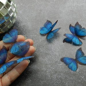 May include: Six blue butterfly shaped paper cutouts. The butterflies are arranged in a hand and on a gray surface.
