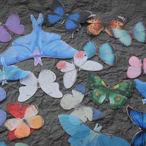 May include: A selection of colourful butterfly and dragonfly cutouts in various sizes and designs. The butterflies feature shades of blue, green, orange, pink, and white. The dragonfly is purple. The cutouts are arranged on a dark, textured surface.