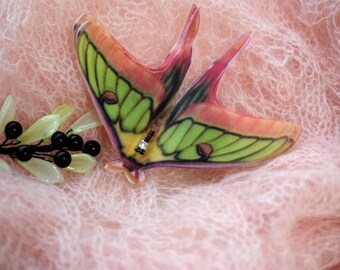 May include: A colorful butterfly brooch with green, orange, and pink wings, accented with a small cluster of rhinestones. The brooch is set against a soft, pink, textured background, with a sprig of leaves and black berries.