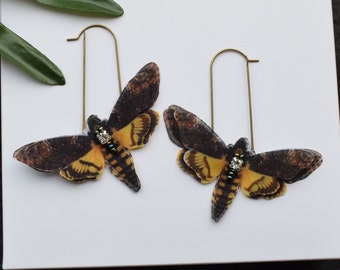 Hawk Moth silk butterfly drop earrings - Death head moth insect jewelry
