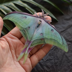 Tender silk luna moth hair clips with 3d moving wings - hair accessories for women and girl gift