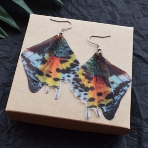 Silk Madagascar Sunset Moth Butterfly wings earrings lightweight prom jewelry