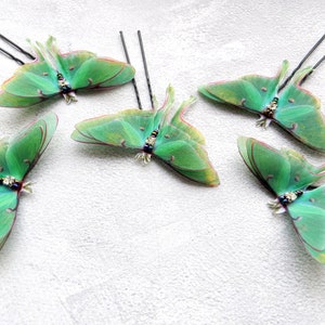 Silk luna moth butterflies hair pins with three-layer wings hair accessories for women