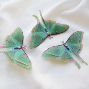 Luna moth silk butterfly brooch lapel pin with rhinestone Valentine day gift for her image 3