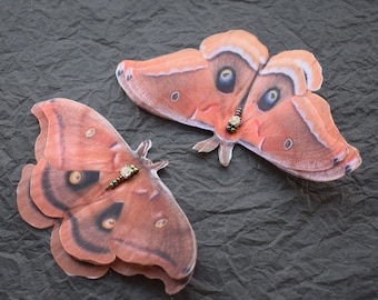 May include: Two delicate, orange-brown butterfly wings with intricate details and beaded accents. The wings are layered and have a translucent quality.
