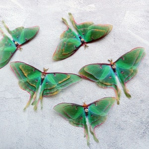Silk luna moth hair clips with 3d double-layer wings hair accessories for women and girl gift image 5