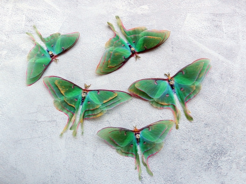 Silk luna moth hair clips with 3d double-layer wings hair accessories for women and girl gift image 5