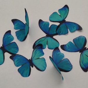 May include: Eight teal blue butterfly cake toppers. The butterflies have black markings and are made of edible wafer paper.