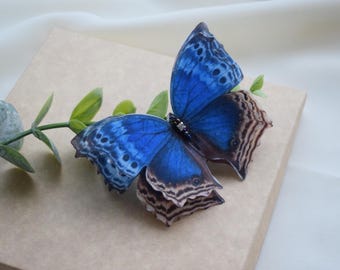 May include: A blue and brown butterfly with intricate wing patterns is displayed on a light brown surface. The butterfly has a dark blue body and iridescent blue wings with black and white markings.