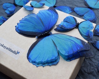Extra große Seide blaue Schmetterlinge Doppelschicht Flügel Kleid Dekoration Applikation Set von 6 Stück