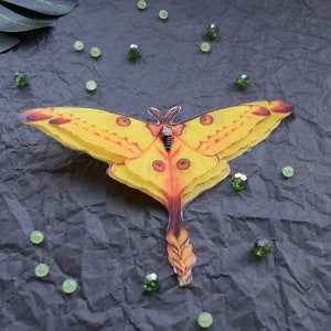 Silk Comet moth large lapel pin brooch or hair clips 3d three-layered wings