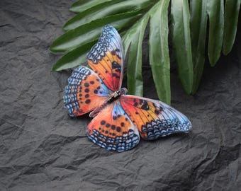 May include: A colorful butterfly with orange, blue, and black wings. The butterfly is on a dark gray textured background.