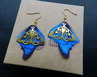 Silk butterfly wings drop earrings with golden metal moth pendant