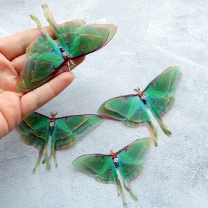 Silk luna moth hair clips with 3d double-layer wings hair accessories for women and girl gift image 6