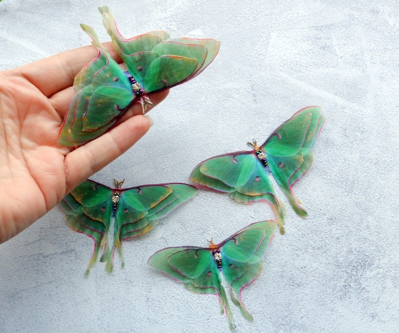 Silk luna moth hair clips with 3d double-layer wings hair accessories for women and girl gift image 6