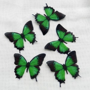 Organza Fabric Butterfly Wings Butterflies Craft Jewelry Hat Making Earrings Findings Sewing Project-3CM/&4CM5CM-30 Pieces Mixed In Lot!