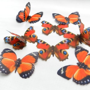 Peacock eye butterfly silk appliques with rhinestones for wedding craft decor jewelry making supplies 10 pcs
