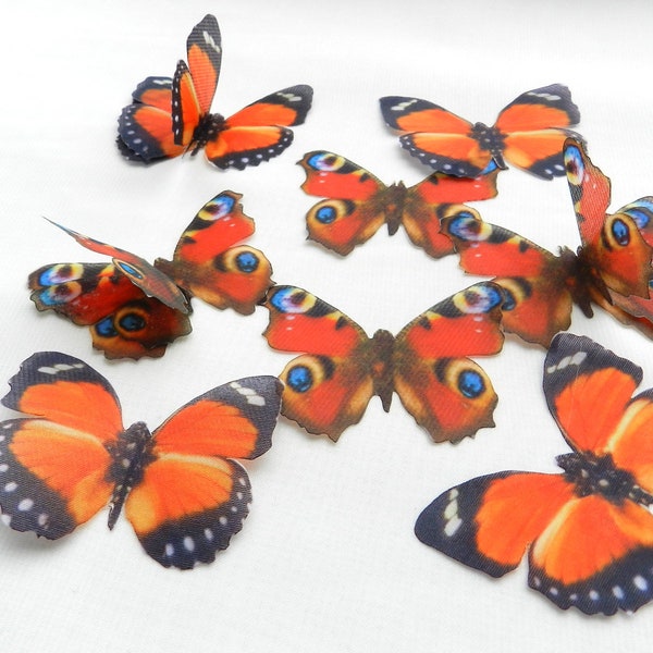 Pfauenauge Schmetterling Seide Applikationen mit Strass für Hochzeit Handwerk Dekor Schmuckherstellung liefert 10 Stück