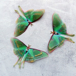 Silk luna moth hair clips with 3d double-layer wings hair accessories for women and girl gift image 1