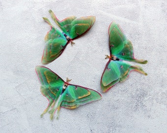 Silk luna moth hair clips with 3d double-layer wings - hair accessories for women and girl gift