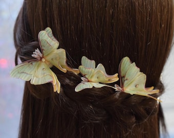 May include: Three delicate, light green butterfly hair clips are arranged in a woman's dark brown hair. The butterfly wings have subtle red veining and are accented with a touch of yellow. The hair clips add a whimsical touch.