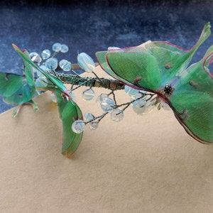 Luna moth butterfly hair piece moonstone crystals and silver wire headband image 4