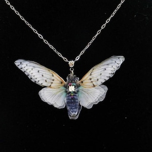 Silk cicada pendant necklace dainty women accessories delicate gift for her