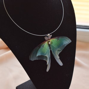 Green Luna Moth Choker Necklace Silk Butterfly Trendy Jewelry for Woman