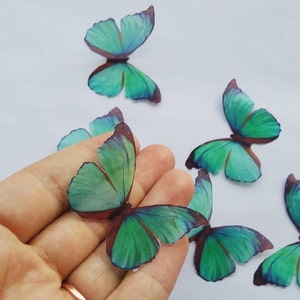 May include: Six teal blue butterfly embellishments with brown veins. The butterflies are made of a translucent material and have a delicate, ethereal appearance.
