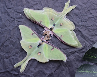 May include: Two green and white layered paper Luna moth cutouts with iridescent green and black beads on each. The moths are on a crumpled gray background.