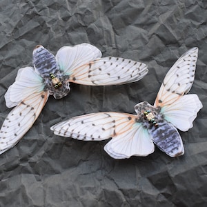 Lot of two barrettes hair, ornaments, vintage Lucite cicada bug bugs NOS Vintage Cicada Bug Lucite French Pin Brooch Jewelry  main image 3