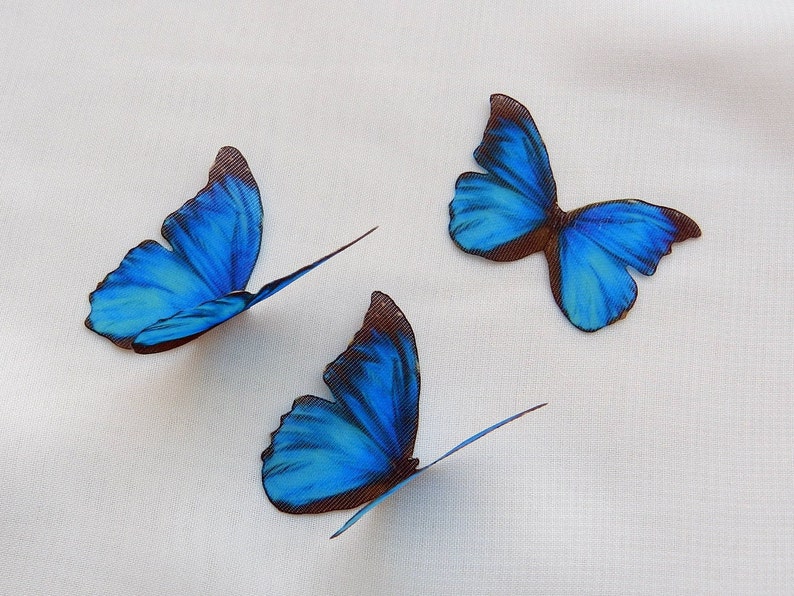 May include: Three blue butterfly decorations with brown veins on a white background.