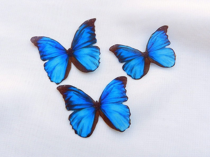 May include: Three blue butterfly cutouts with brown veins on a white background.